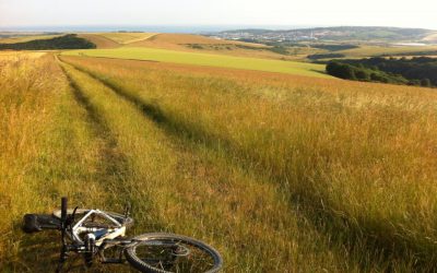 Congratulations to Mark Goldie